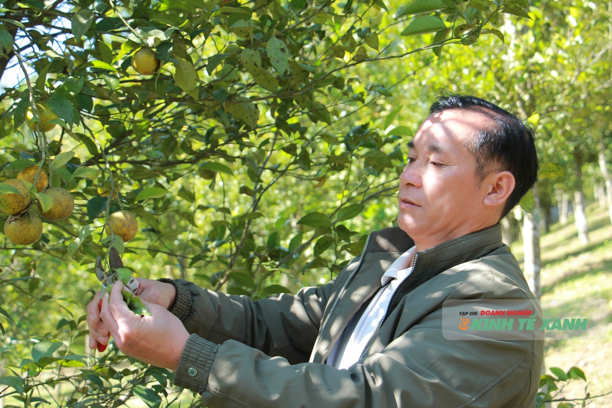 chuyen-doi-so-1-1770045187.JPG
