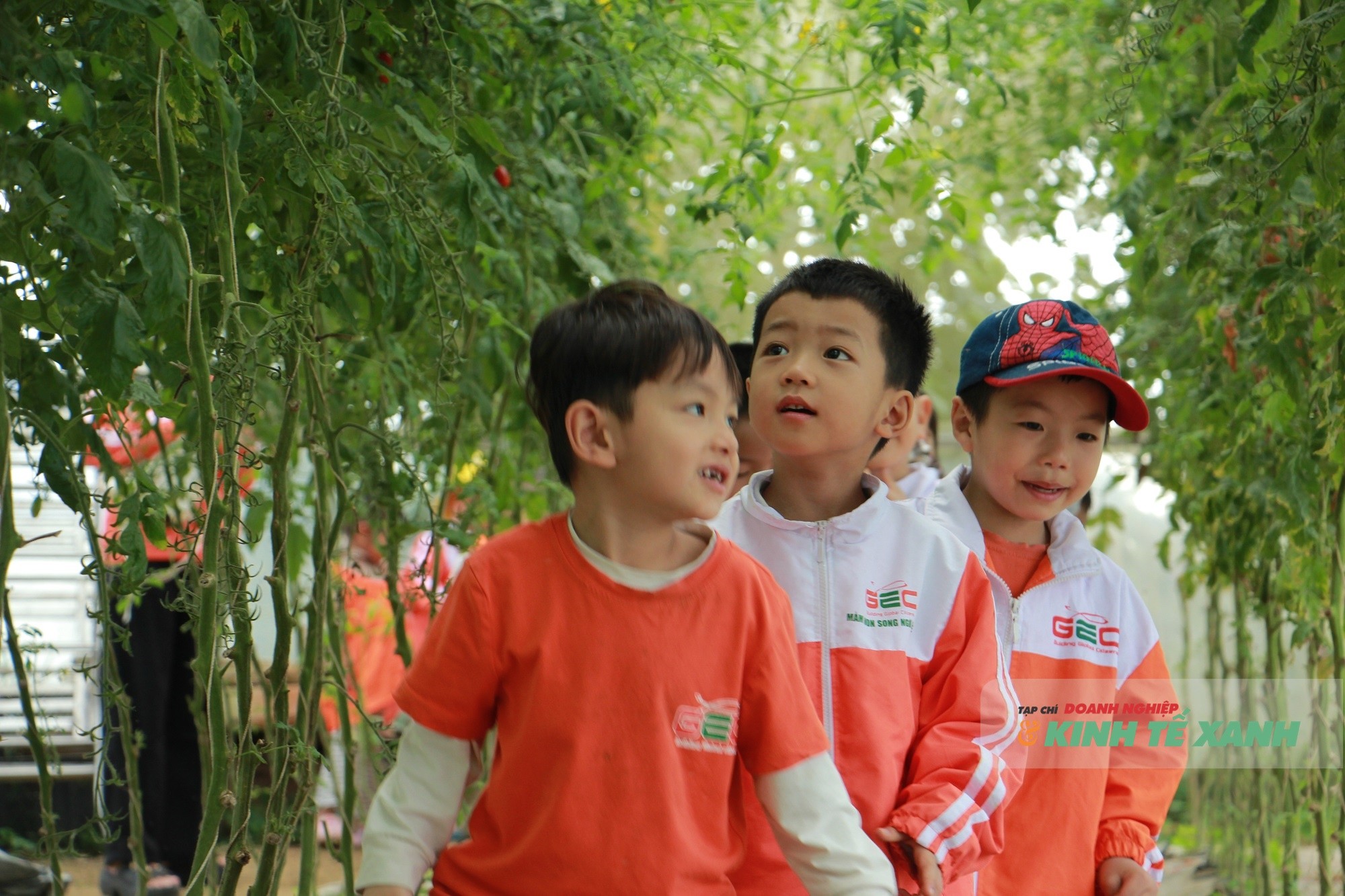 nong-nghiep-sach-1-1773732499.JPG