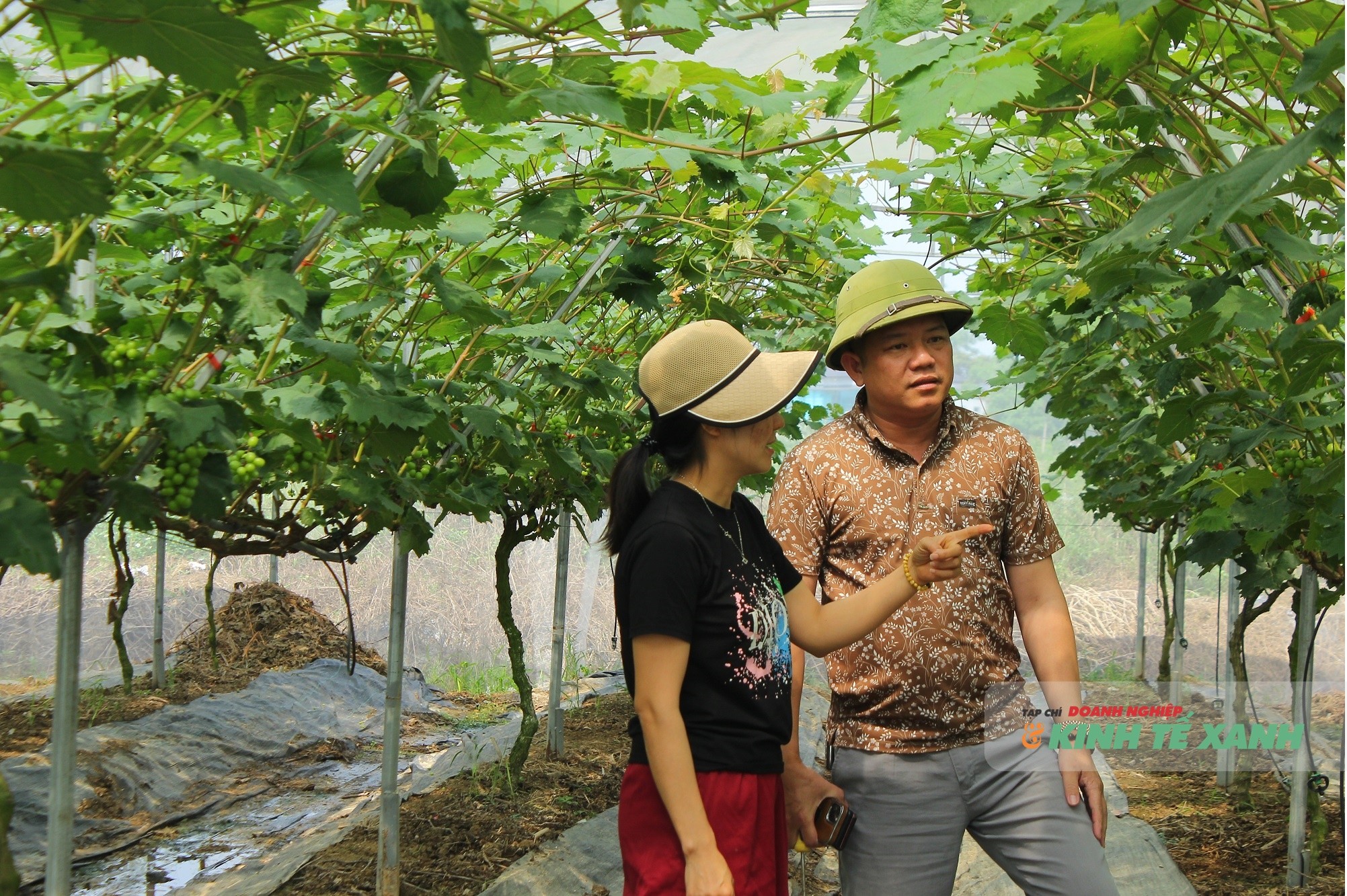 trang-famr-6-1777989049.JPG