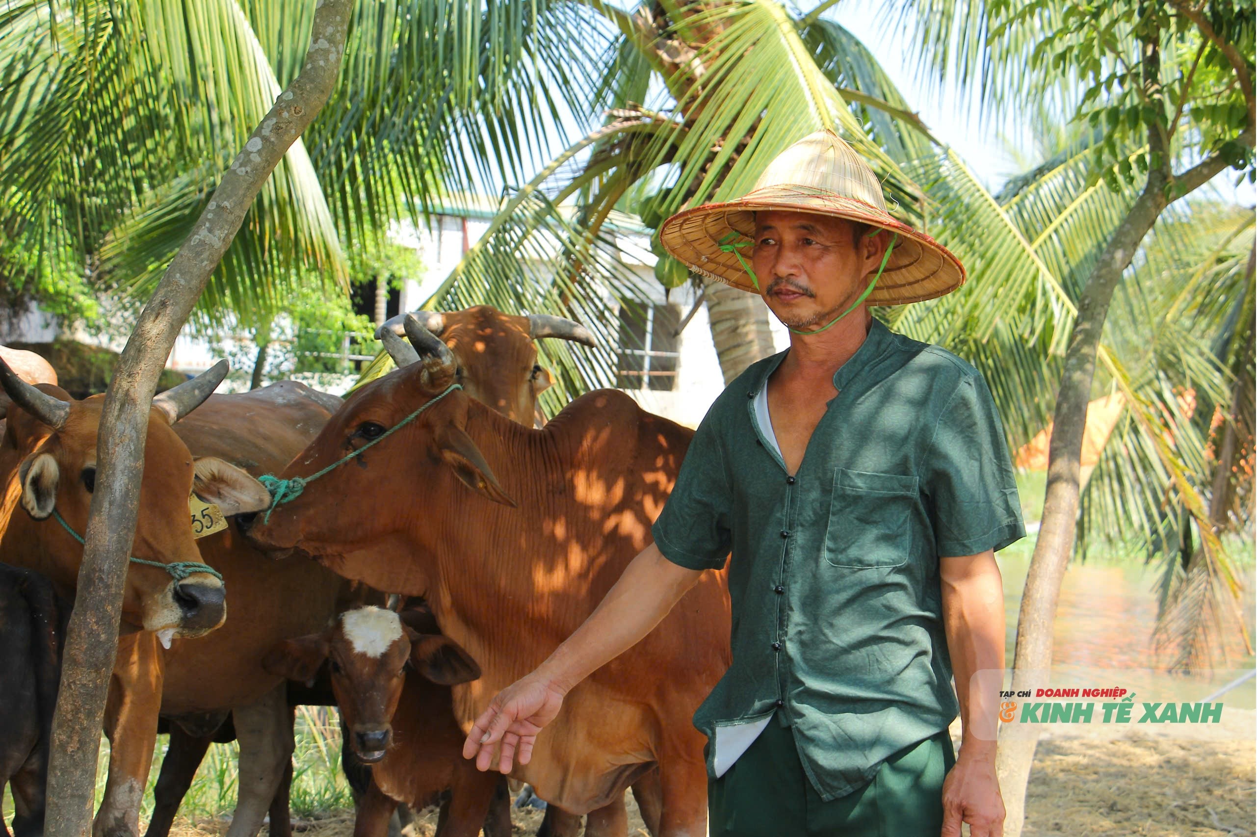 ngo-van-tuan-2-1780498849.jpg