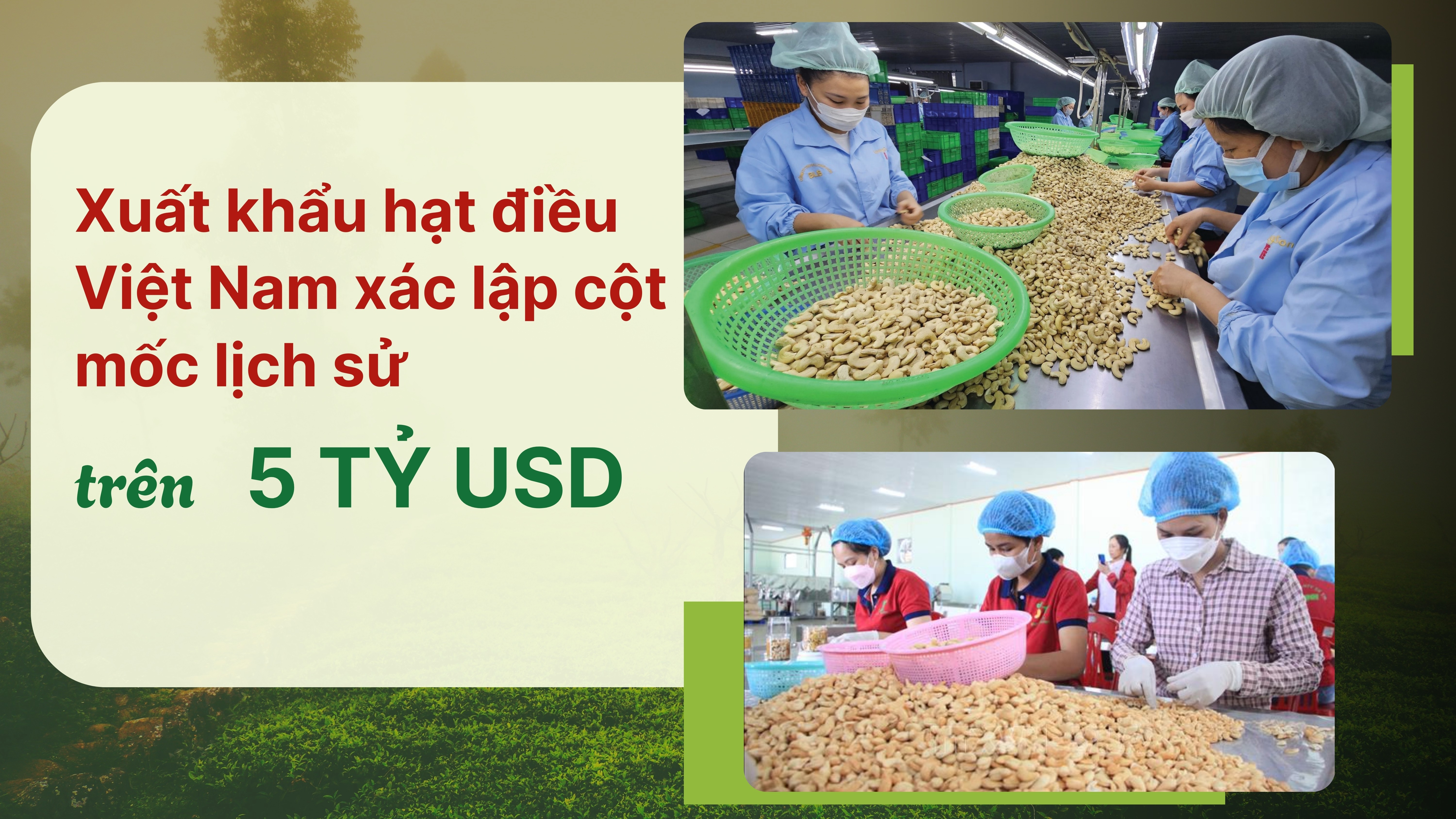 [eMagazine] Sân Chơi Lc88.com Web Uy Tín hạt điều Việt Nam xác lập cột mốc lịch sử trên 5 tỷ USD