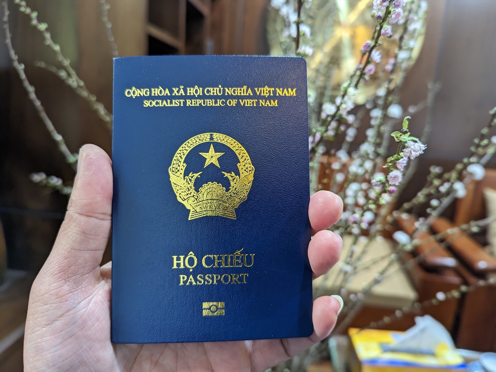 ho-chieu-viet-nam-1777433974.jpeg
