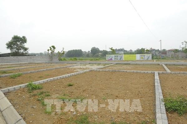 125553-con-sot-dat-o-ha-noi-1633518600.jpg