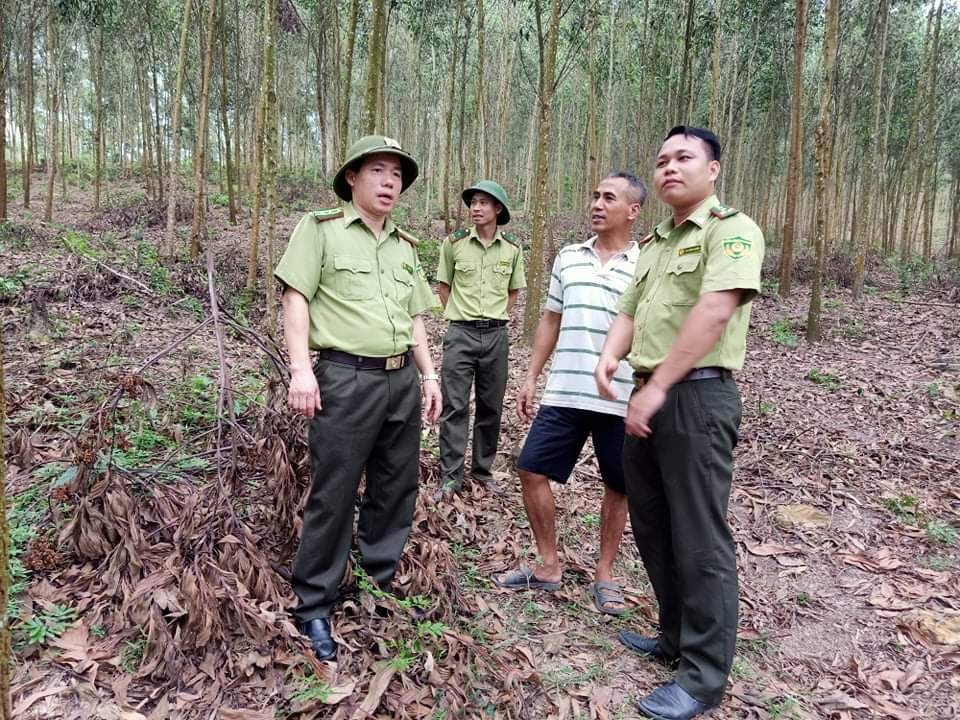 kiem-lam-1634133943.jpg