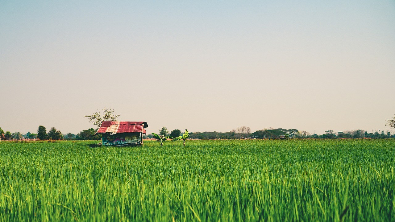 thai-lan-1634363878.jpg