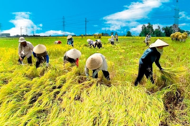 nong-nghiep-1634564964.jpg