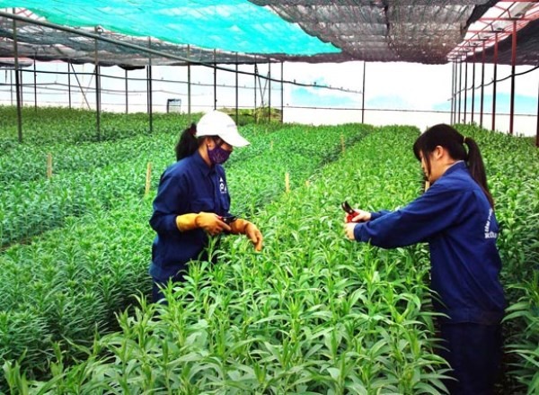 ung-dung-cong-nghe-nong-nghiep-1634963002.jpg