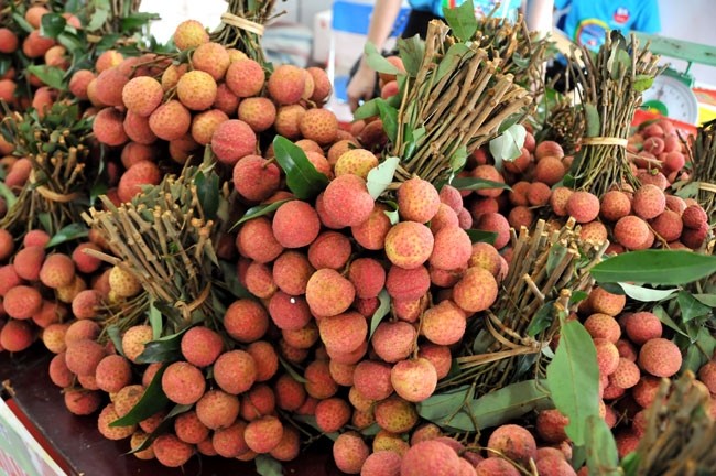 vai-thieu-1635472754.jpeg