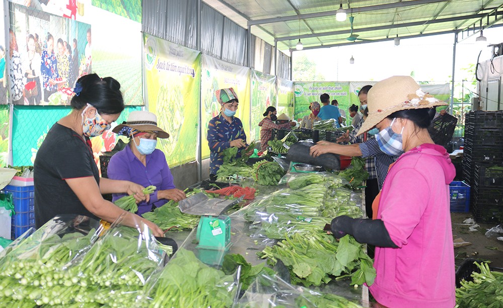 kinh-te-nong-nghiep-bpt-2-1622682334-1636367884.jpg