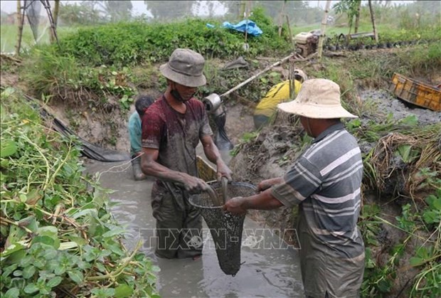 vna-potal-tra-vinh-ho-tro-nong-dan-chuyen-doi-co-cau-san-xuat-stand-1638933032.jpg