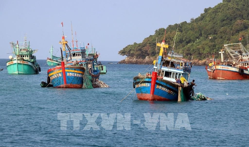 140907-bien-dao-viet-nam-tong-san-luong-thuy-san-khai-thac-va-nuoi-trong-cua-kien-giang-dat-tren-845-000-tan-1640079499.jpeg