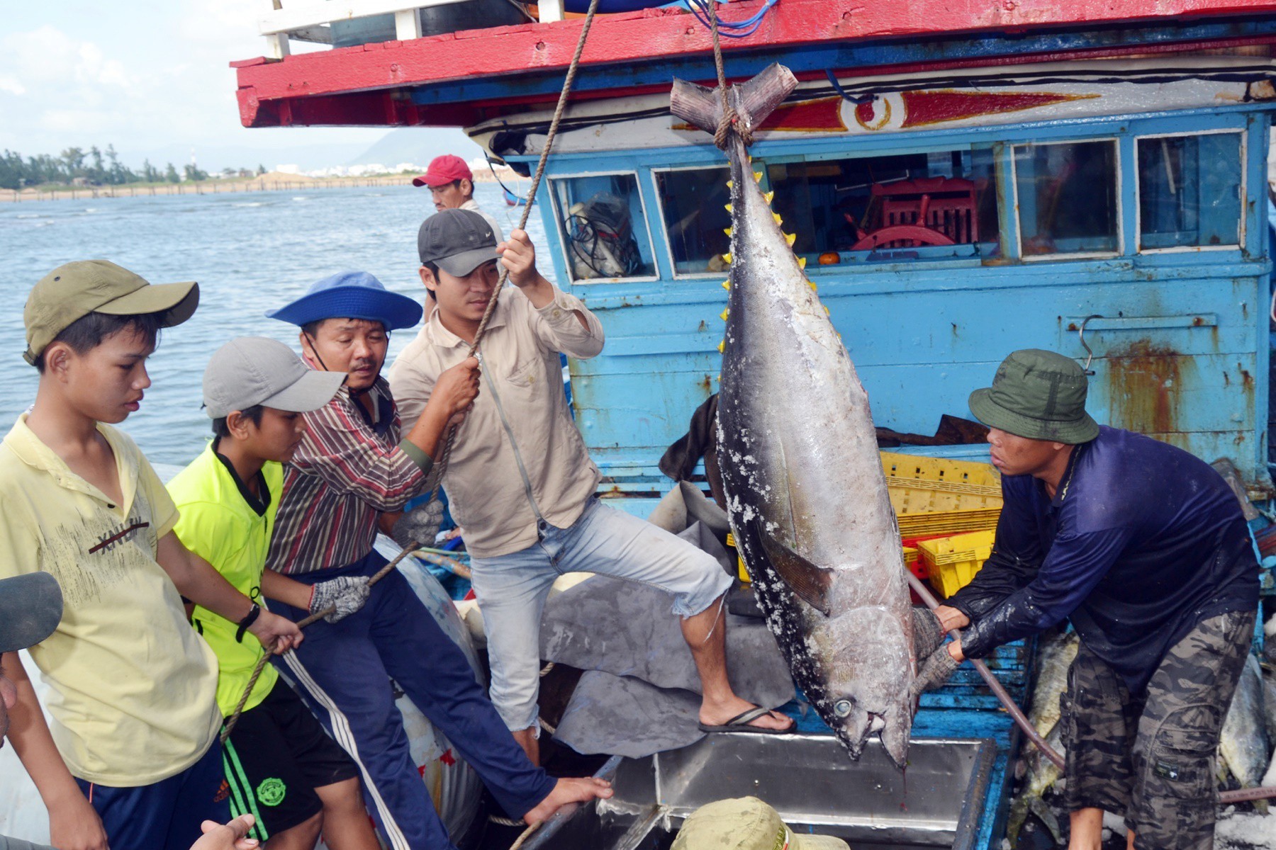 phu-yen-1637897082115797650774-1640331080.jpeg