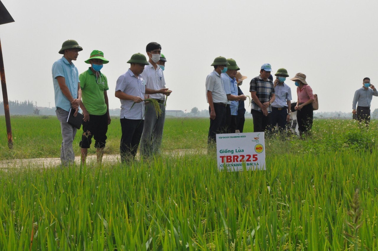 hy2-1640769893.jpg