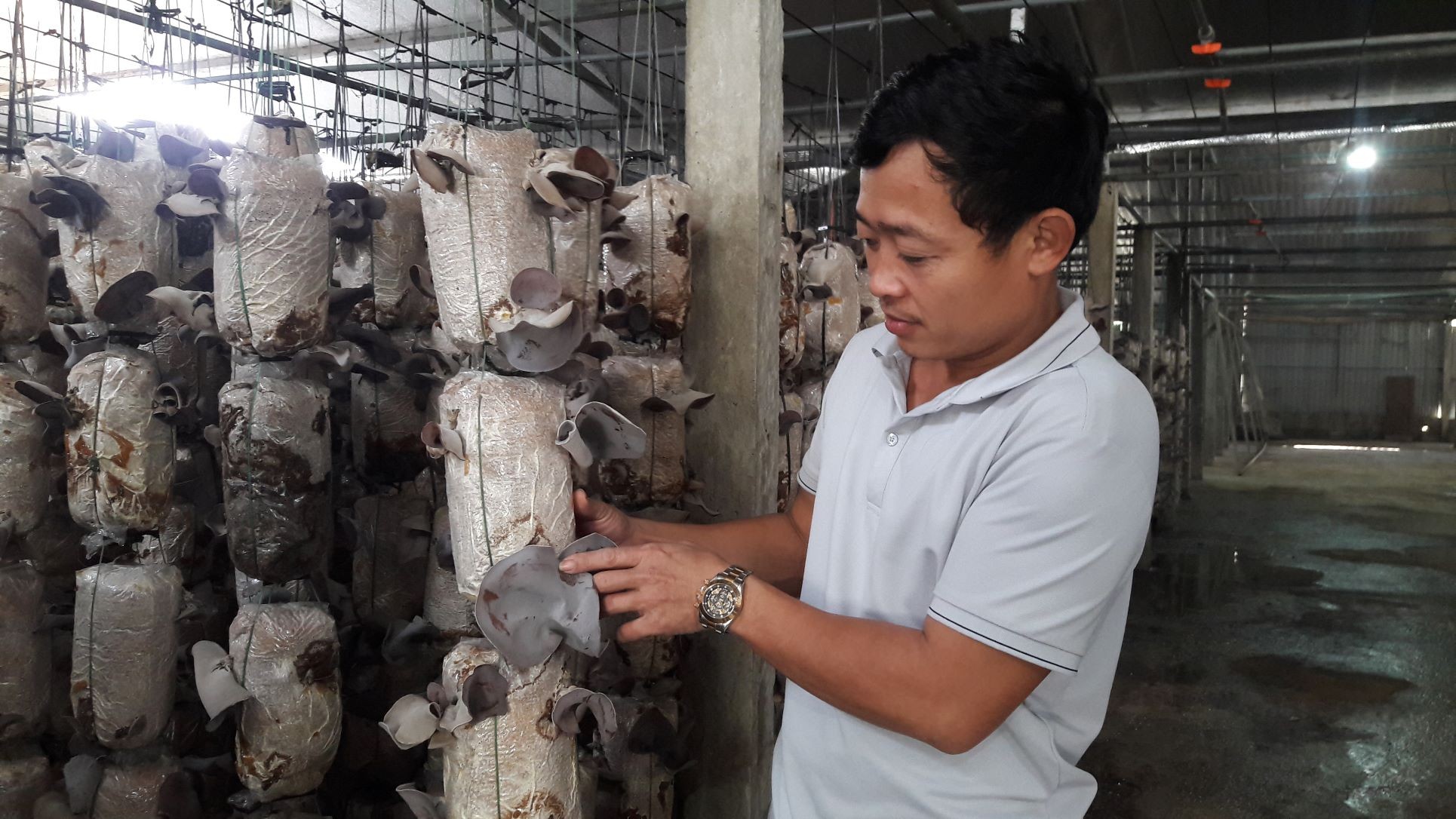 cuong-2-1640828619.jpg