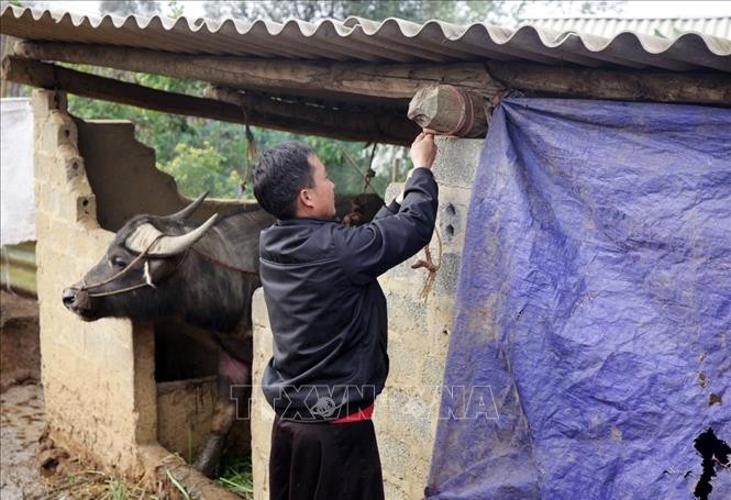lai-chau-311221-1-1640927534.jpeg