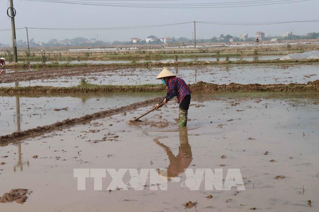 174333-bac-ninh-tap-trung-lay-nuoc-do-ai-cho-ba-con-nong-dan-san-xuat-1642332496.jpeg