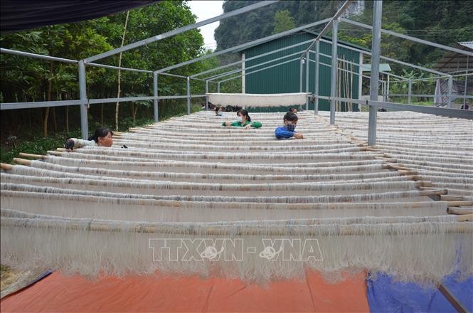 mien-dong-cam-binh-2012022-1642654627.jpeg