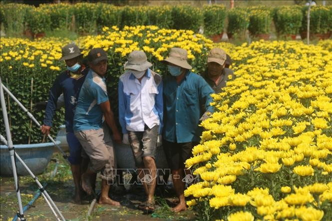 vna-potal-ba-ria-vung-tau-hoa-tet-tai-cac-vuon-tieu-thu-nhanh-gia-tang-nhe-stand-1642841377.jpeg