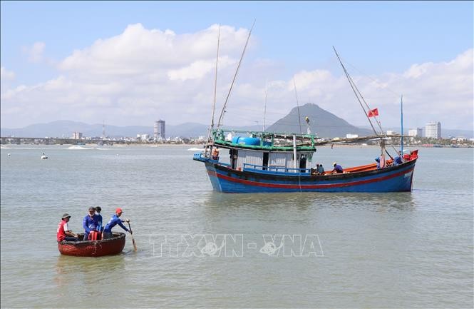 vna-potal-ngu-dan-1phu-yen-vuon-khoi-hai-loc-bien-xuyen-tet-stand-1643170613.jpeg