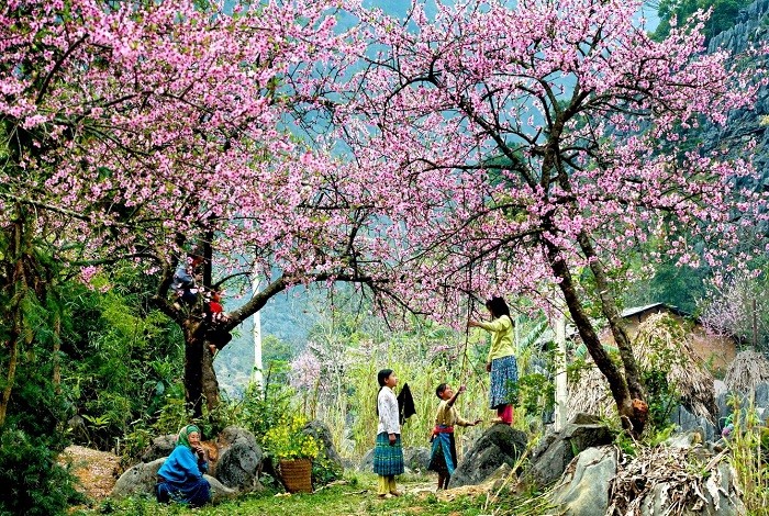 tho-ve-mua-xuan-5-1643653066.jpeg