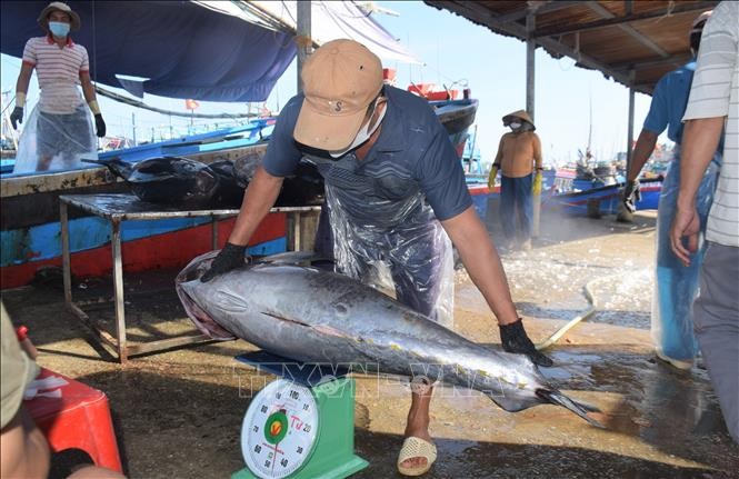 vna-potal-binh-dinh-nhung-chuyen-bien-xuyen-tet-tro-ve-thang-loi-stand-1644508923.jpeg