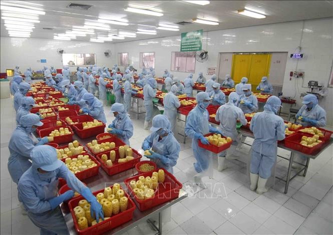 vna-potal-nam-2020-tong-kim-ngach-xuat-khau-nong-lam-thuy-san-tang-25-075314186-stand-1644551806.jpeg