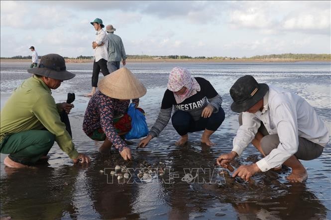 vna-potal-ben-tre-can-san-thua-bai-ngheu-han-che-ngheu-chet-mua-nang-nong-161731526-stand-1645511199.jpeg
