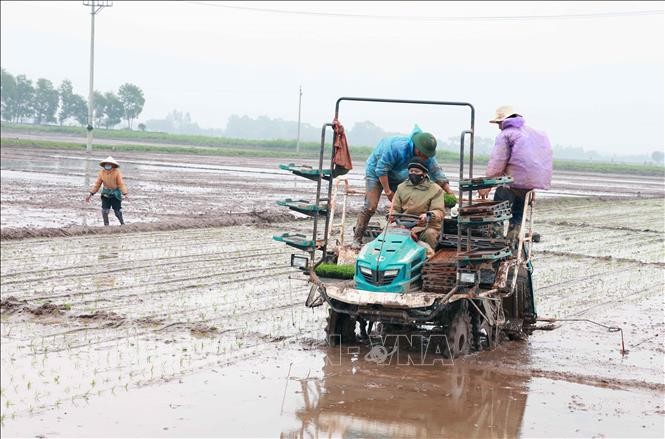 vna-potal-ha-nam-ap-dung-may-cay-vao-san-xuat-mang-lai-nhieu-loi-ich-stand-1645512446.jpeg