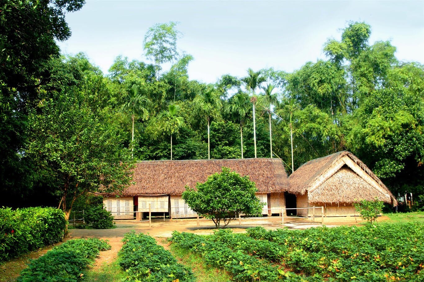 cuong-1646389040.jpg