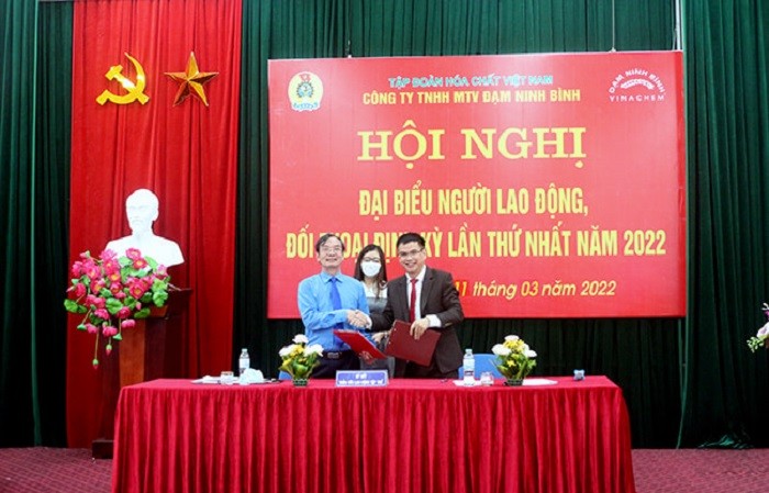dam-ninh-binh4-1647145827.jpg