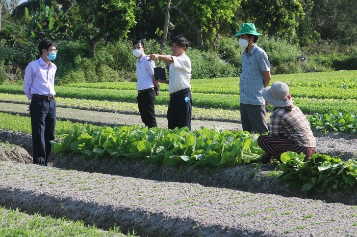 kinh-te-so-nong-nghiep-quang-nam2-1648954379.jpg