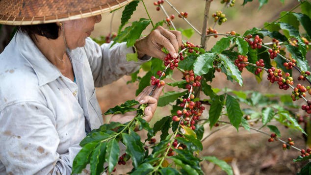 http-cdncnncom-cnnnext-dam-assets-200310040710-04-vietnam-coffee-1652406394.jpg