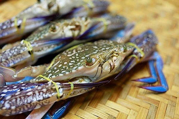xuat-khau-cua-ghe-tang-truong-tro-lai-trong-cac-thang-dau-nam202205180854542931410-1652845573.jpg