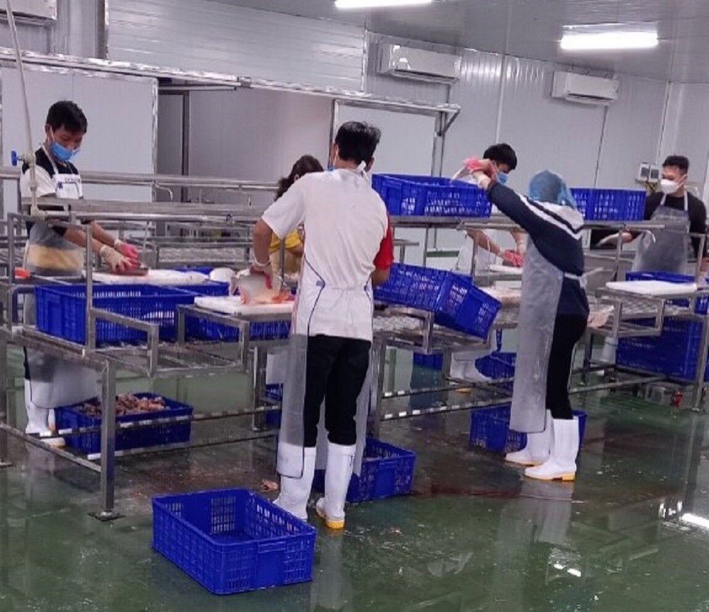 hieu-qua-mo-hinh1-1653962315.jpg