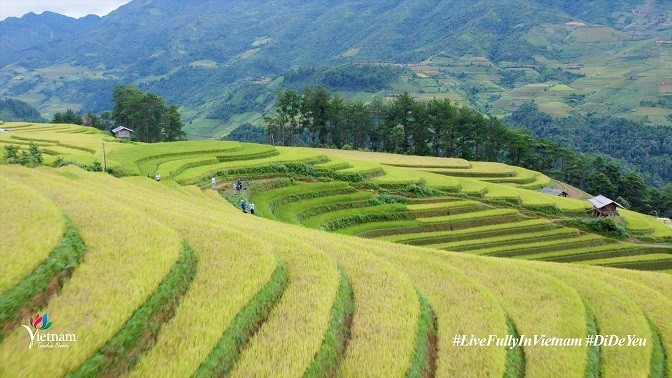 trai-nghiem-tron-ven-mot-viet-nam-hap-dan-soi-dong-va-tran-day-suc-song-1655281757.jpg
