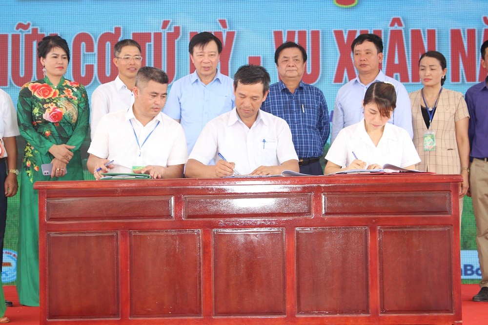 htx-an-thanh-2-1655613908.jpg