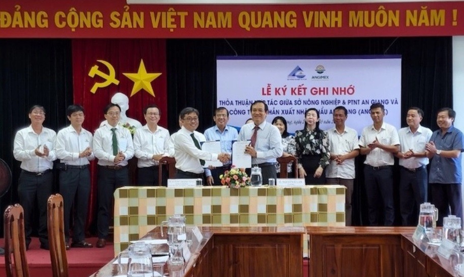 angimex-doanh-thu-lon-1656292964.jpg