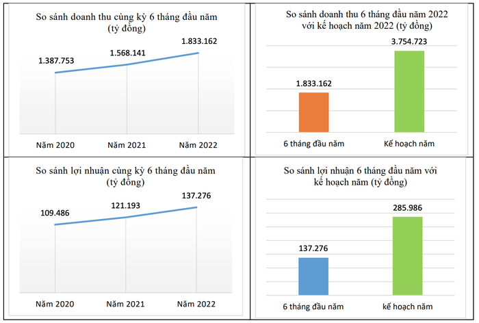 doanh-thu-va-loi-nhuan-6-thang-dau-nam-2022-1658156485278615502788-1658223980.png