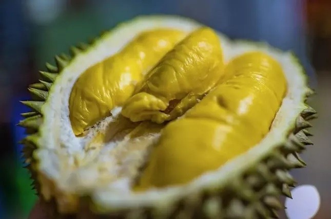 sau-rieng-1658308748994-1658308749980925471013-1658368663.jpg