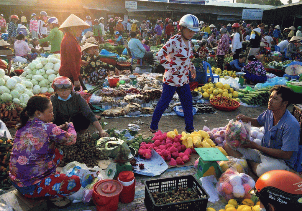 chovithanh02-1024x717-1659956154.gif