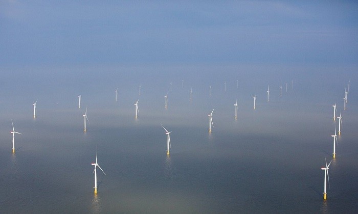 000051-1660414800.jpg