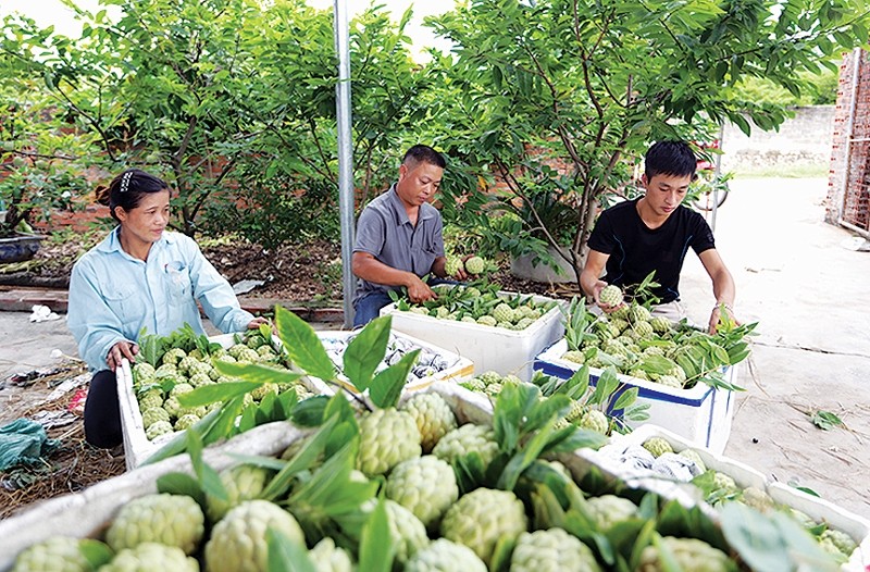 na-dai-trai-vu-o-dong-trieu-quang-ninh-dang-hut-khach-1661065378.jpeg
