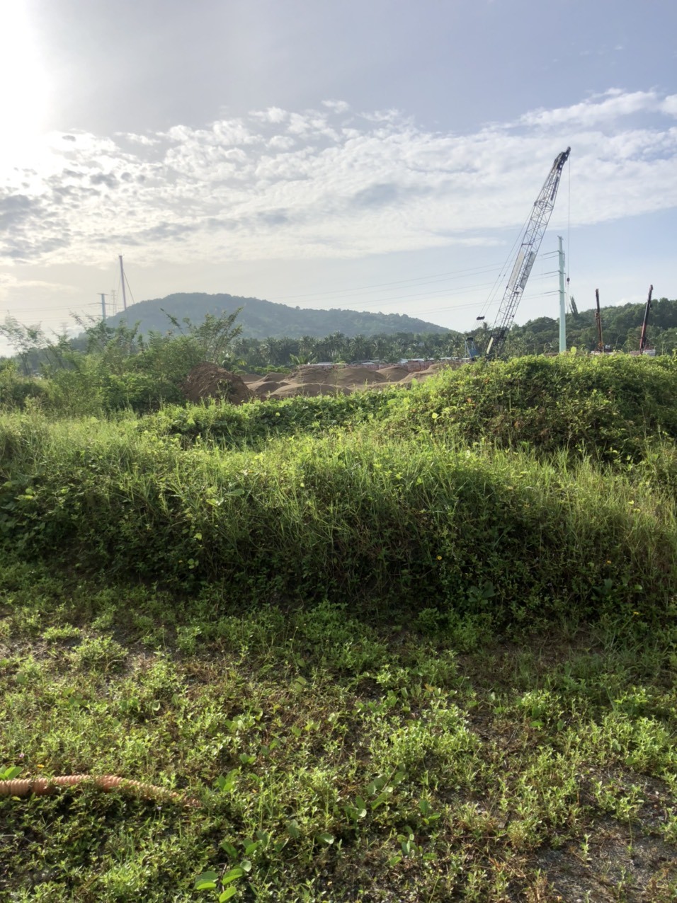 anh-2-1661396499.jpg