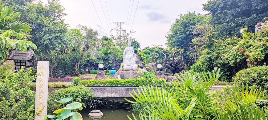 8-1661591598.jpg