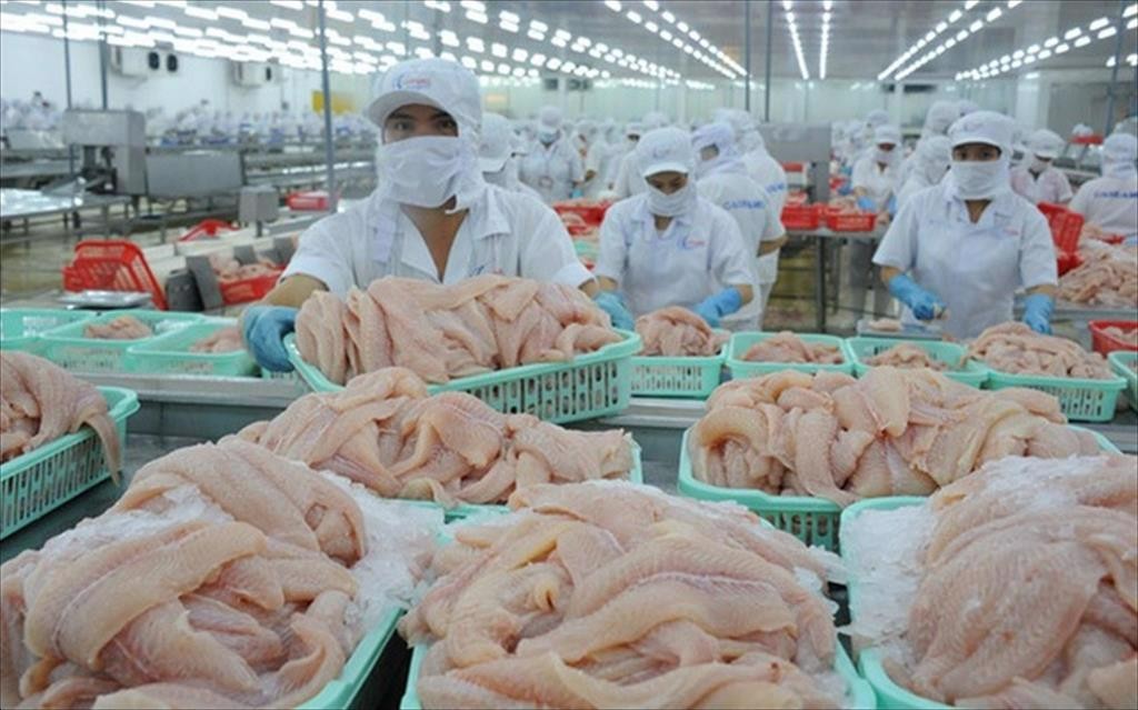 20220809093338013gia-xuat-khau-ca-tra-tang-manh-nguoi-nuoi-van-treo-2043-1-1663841342.jpeg