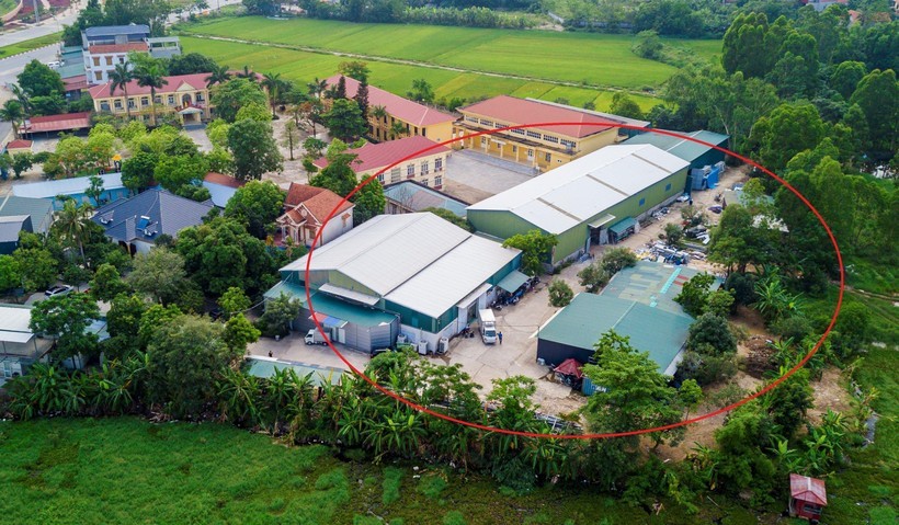 binh-xuyen-1665981523.jpg