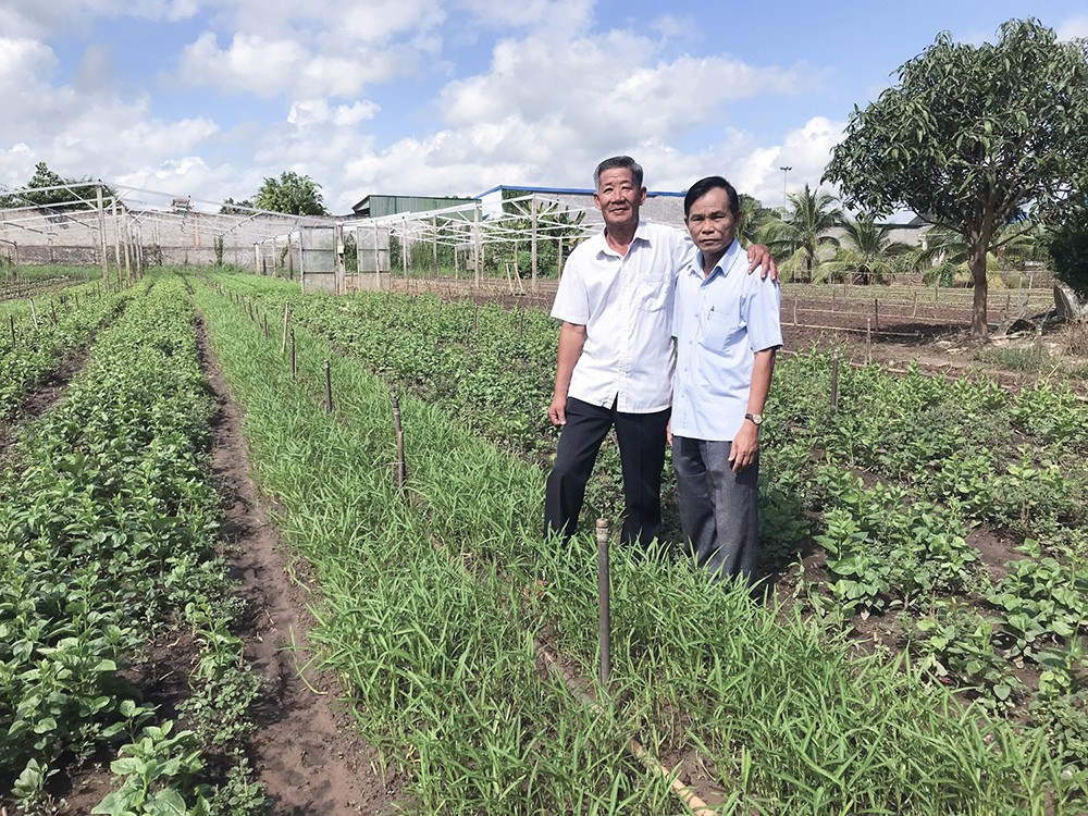 binh-1666173303.jpg