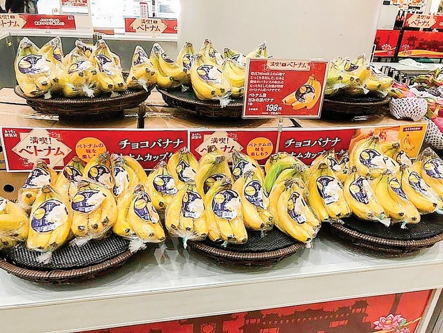 nong-san-1666772965.jpg