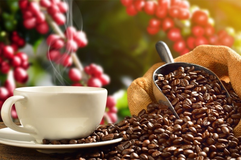 cafe-1666829962.jpg