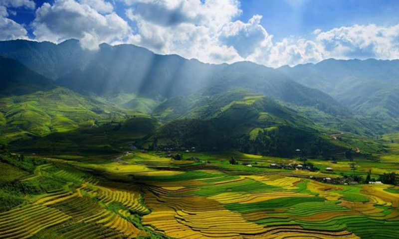 ruongbacthang-1666857196.jpg